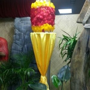 Meet your Posher, Elena